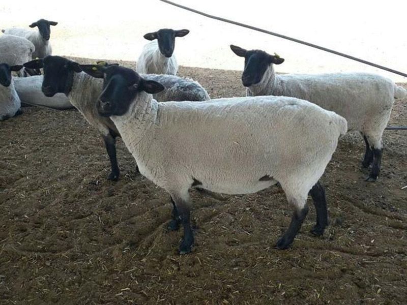 薩?？搜?></a></dt>
<dd><a href=