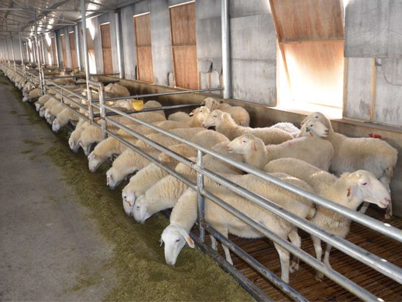 <img src=upfile/images/2021/12/20/small3_16399893375661741.jpg height=350>